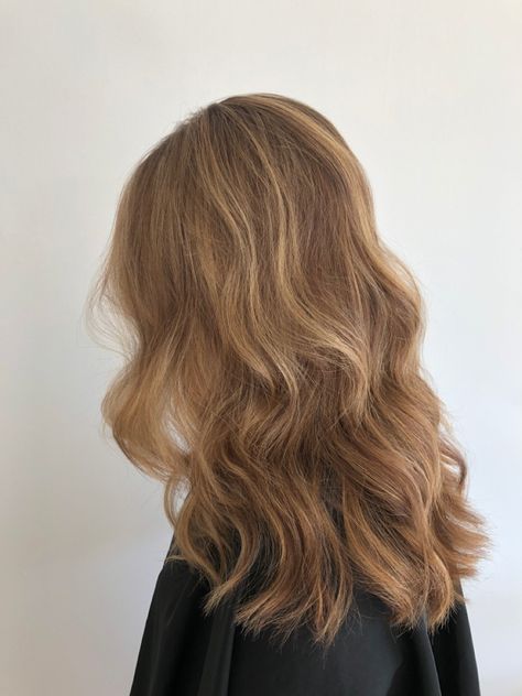 Hair Color Simple Natural, Fawn Brown Hair Color, Light Brown Hair Color Ideas Caramel, Blonde Balayage Light Brown Hair, Fawn Brown Hair, Light Reddish Brown Hair, Highlights With Brown Hair, Light Caramel Brown Hair, Light Honey Brown Hair