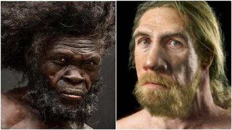 An Archaeological And Scientific Account Of How Black People Produced The Caucasian Race Afro Asian, Caucasian Race, People With Red Hair, Human Fossils, Caucasian People, Black And White People, Common Knowledge, Black Fact, History Of The World