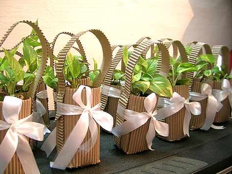 Throwing an Eco-Friendly Theme Party can be one of the unique kitty party theme ideas, especially when Indian Prime Minister Mr. Narendra Modi is emphasisi Ecofriendly Party, Wedding Party Favors Diy, Wedding Souvenirs Diy, Kitty Party Themes, Eco Friendly Wedding Favors, Trendy Wedding Favors, Birthday Return Gifts, Spring Wedding Favors, Plant Party