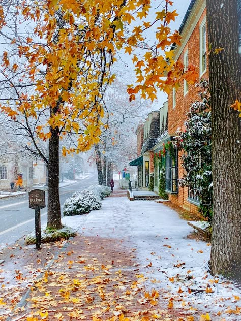 Autumn Snow, A Blessed Sunday, Have A Blessed Sunday, Mistletoe Christmas, Blessed Sunday, New England Fall, Morning Everyone, Autumn Scenes, Winter Scenery