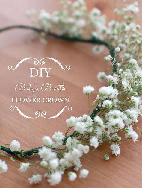 DIY Baby's Breath Flower Crown not only do make for a great photo prop, they are also good for summer or garden parties or even as a return gift. Flower Girl Crown Diy, Diy Floral Crown, Baby Breath Flower Crown, Baby Flower Crown, Diy Flower Crown, Crown For Kids, Diy Crown, Flower Girl Crown, Flower Girl Headbands