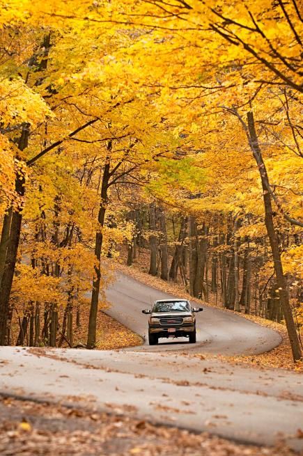 25 Ultimate Fall Drives.... Definitely an option for a low-key/low-cost honeymoon. Midwest Living, Autumn Drives, Autumn Scenery, Fall Travel, Yellow Leaves, Back To Nature, Mellow Yellow, Vacation Spots, Travel Usa