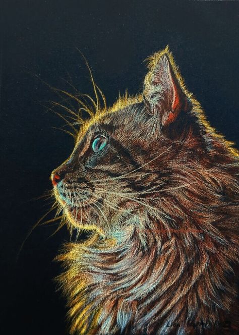 Colored Pencil Cat on Black Paper Colored Pencil Drawing On Black Paper, Coloured Pencil On Black Paper, Colored Pencils On Black Paper, Prismacolor On Black Paper, Pencil Art On Black Paper, Sketching On Black Paper, Black Paper Drawing Colored Pencils, Things To Draw On Black Paper, Black Paper Art Colored Pencils