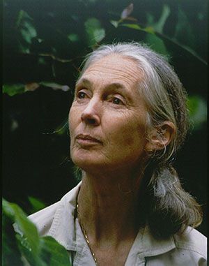 동화 삽화, 얼굴 드로잉, Jane Goodall, Ageless Beauty, Great Women, Her Eyes, Famous Women, 인물 사진, Inspirational People