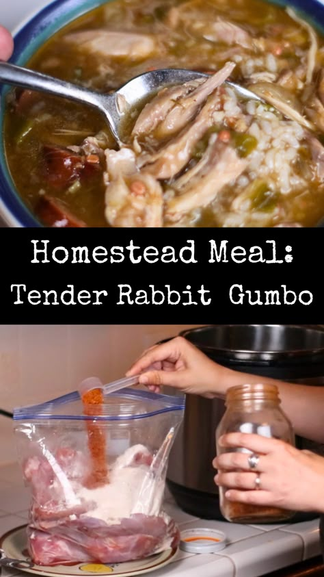 Learn how to cook tender rabbit meat! Rabbit meat is notoriously tough and stringy when cooked incorrectly. It needs to be cooked slowly, at a low temperature. It should never be boiled hard. The Instant Pot cooks it to perfection in this foolproof recipe. This rabbit and sausage gumbo is made from scratch, in the Instant Pot, with lots of yummy veggies. Rabbit Roast Recipe, Instant Pot Rabbit Recipe, Ground Rabbit Recipes, Rabbit Recipes For Dinner, Instant Pot Rabbit, Crockpot Rabbit Recipe, Rabbit Cooking, Easy Rabbit Recipe, Rabbit Recipe