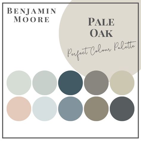 Pale Oak - Perfect Colour Palettes - Claire Jefford Benjamin Moore Paint Colours, Anew Gray, Revere Pewter Benjamin Moore, Palladian Blue, Pale Oak, Best White Paint, Revere Pewter, Paint Colors Benjamin Moore, Benjamin Moore Colors