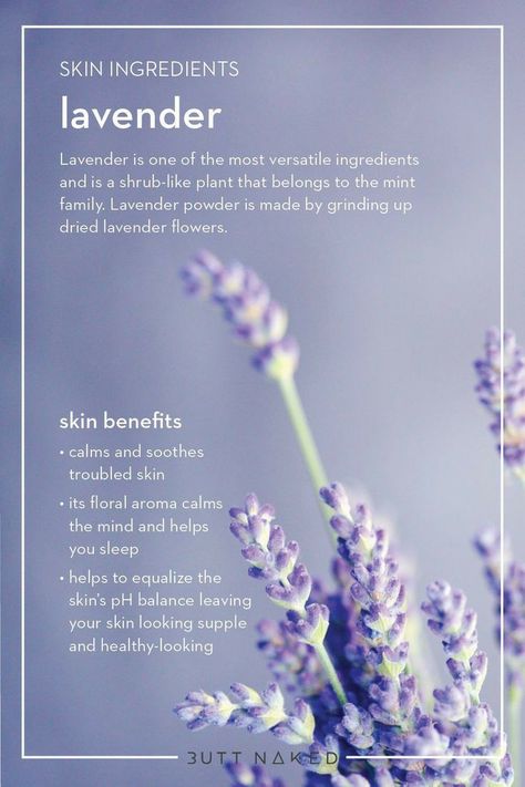 Coraline House, Hoodoo Herbs, Lavender Oil For Skin, Lavender Oil Benefits, The Best Skin Care Products, Skin Facts, Lavender Benefits, Skin Care Business, Best Skin Care Products