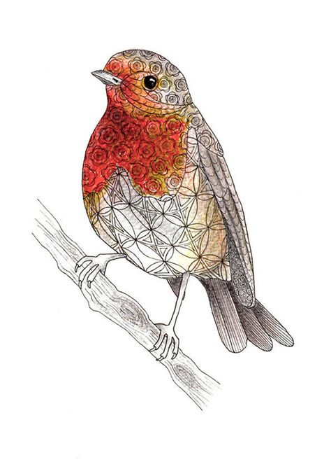 Robin Red Breast, Tiny Art, British Garden, Birds Nature, Garden Birds, Bird Artwork, Bird Art Print, Bird Lover, Bird Pictures