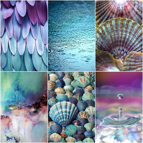 color mood board: Raindrops ... feathers, water, scallop shells, abstract art, blue shells, a drop ... aquas and purples with touches of tan ... Shells Mood Board, Fashion Colour Palette Mood Boards, Water Mood Board, Mood Board Nature, Mermaid Mood Board, Nature Mood Board, Inspiration Board Ideas, May Mood Board, Mood Board Ideas