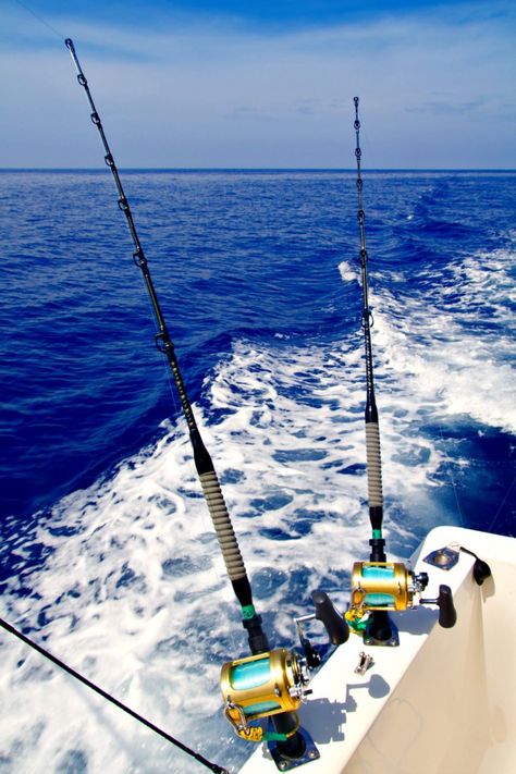 Fishing rods in holders on side of fishing boat for Gulf Coast fishing blog Ice Fishing Gear, Photos Of Fish, Bottom Fishing, Northwest Florida, Big Game Fishing, Gulf Coast Florida, Fishing Charters, Deep Sea Fishing, Beach Fishing