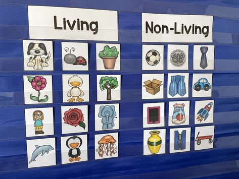 Living Non Living Preschool, Living And Nonliving Anchor Chart Kindergarten, Non Living Things Drawing Ideas, Living Vs Nonliving Preschool Activities, Living Vs Non Living Kindergarten, Living And No Living Things Activities, Living Non Living Kindergarten, Living And Non Living Things Activities For Preschool, Living Things Activities Preschool