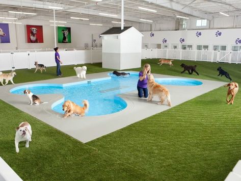 New York's JFK Airport may have just welcomed a "woof top" pet exercise area, but animals are set to get a terminal of their very own in the spring of 2016. Dog Play Area, Luxury Dog Kennels, Dog Hotel, Pet Resort, Dog Pool, Pet Spa, Pet Hotel, Pet Boarding, Dog Kennel Outdoor