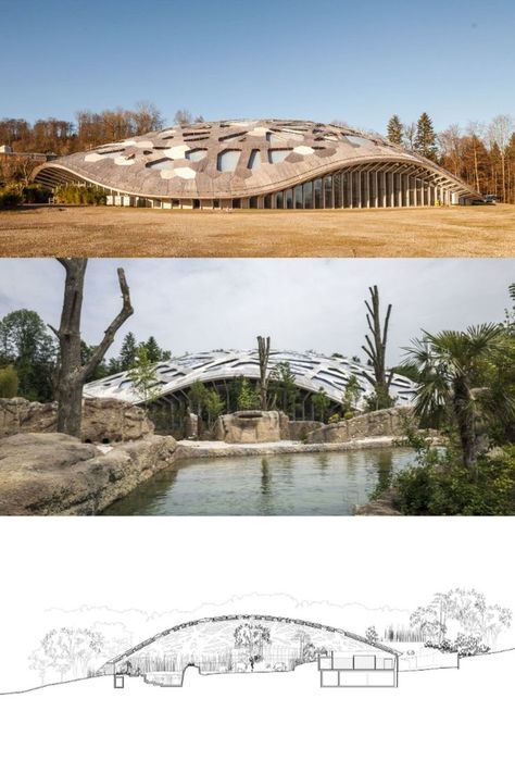 Elephant House Zoo Zürich Elephant House, Zoo Architecture, Elephant Park, Indoor Greenhouse, Forest Canopy, Fluid Design, Timber Construction, Roof Structure, Structural Engineering