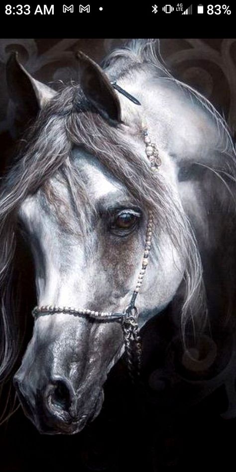 Equine Art Paintings, Cai Arabi, White Arabian Horse, Arab Horse, Arabian Horse Art, Horse Stencil, Hyperrealism Paintings, Horse Art Drawing, Beautiful Horses Photography