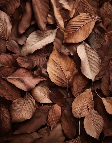 dry leaf background wallpaper Brown Leaves Wallpaper, 8k Images, Sass Queen, Autumn Chic, Beautiful Wallpapers For Iphone, Brown Leaves, Simple Phone Wallpapers, Studio Backgrounds, Leaf Background