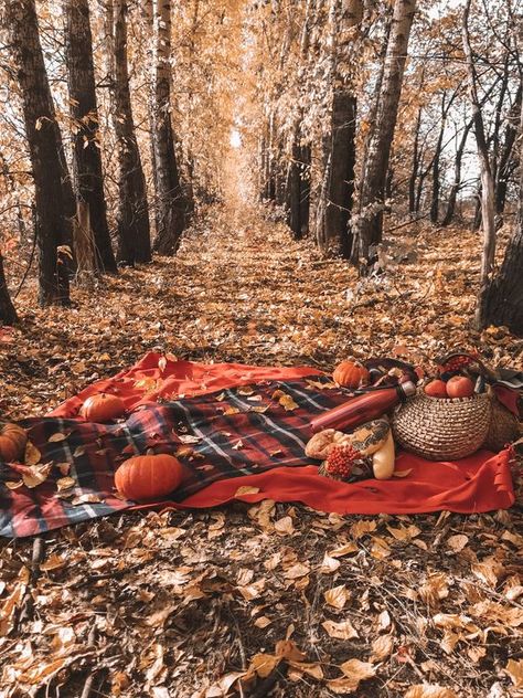 Fall Set Up For Photography Outdoor, Fall Family Photo Props, Fall Mini Sessions Set Up Outdoor, Fall Outdoor Photoshoot Setup, Fall Mini Sessions Set Up, Fall Picnic Photoshoot, Fall Photoshoot Setup Ideas, Fall Photography Props, Autumn Family Photoshoot