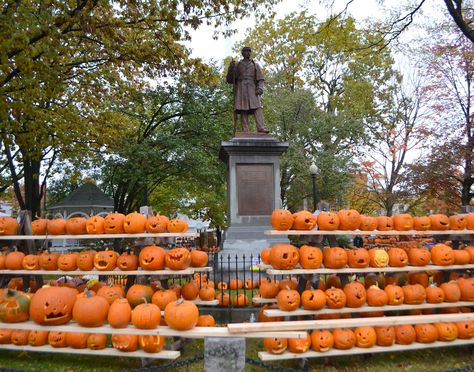 8 Amazing Pumpkin Displays You Have to See to Believe Pumpkin Sale Display, Pumpkin Display Ideas Outside, Pumpkin Sale Stand, Pumpkin Displays Retail, Pumpkin Displays Outside, Pumpkin Display Ideas, Sleepy Hallow Halloween, Patch Display Ideas, Outdoor Pumpkin Decor