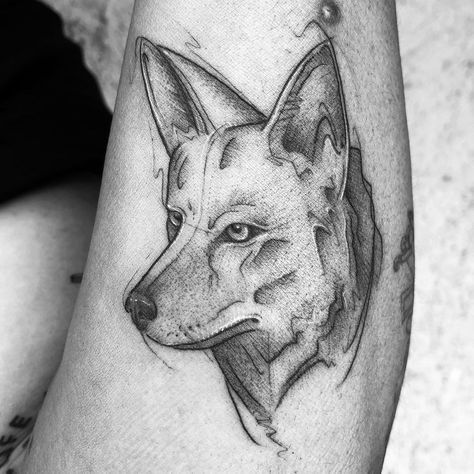 Coyote Tattoo, wile e coyote tattoo, traditional coyote tattoo, wild coyote tattoo, coyote tattoo meaning, native coyote tattoo, simple coyote tattoo, realistic coyote tattoo, american traditional coyote tattoo, coyote tattoo ideas, colter wall coyote tattoo, coyote tattoo designs, tribal coyote tattoo, native american coyote tattoo, coyote tattoo traditional, howling coyote tattoo, minimalist coyote tattoo,small coyote tattoo,roadrunner and coyote tattoo,coyote tattoo simple,noble coyote tattoo Wile E Coyote Tattoo, Roadrunner And Coyote, Coyote Tattoos, Coyote Tattoo, Native American Mythology, Cubs Tattoo, Animal Hunting, American Wildlife, Wile E Coyote