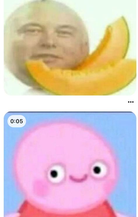 Melon Musk, Very Funny Pictures, Very Funny, Melon, Minecraft, Funny Pictures, Memes, Funny, Pins