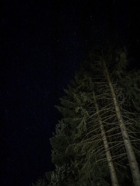 night sky | full of stars | in love | photography | nature | forest Forest Night Photography, Night Forest Photography, Night Forest Aesthetic, Night Asthetics Photos, Earth Eyes, Night Sky Forest, Night Sky Full Of Stars, Woods At Night, Trees At Night