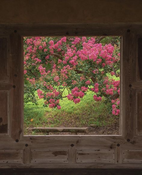 Outside my window a new day I see. And only I can determine what kind of day it will be...~.~ Cabin, Twitter, Flowers, Green, Pink, On Instagram, Instagram