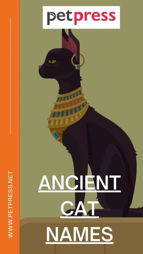 Why Ancient Cat Names? Because we love our cats just as much as those in ancient times did and want to give them a name that is unique and special. Name Cat Ideas, Ancient Egyptian Names, Cats Names Ideas, Female Cat Names Unique, Cat Names Aesthetic, Names For Male Cats, Black Cat Names, Aesthetic Cat Names, Cats In Ancient Egypt