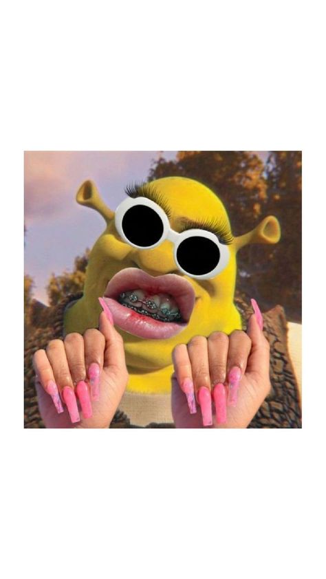 preppy/baddie shrek Baddie Shrek, Preppy Baddie, Friend Jokes, Goofy Pictures, Funny Character, A Pond, Shrek, Cartoon Characters, Funny Gif