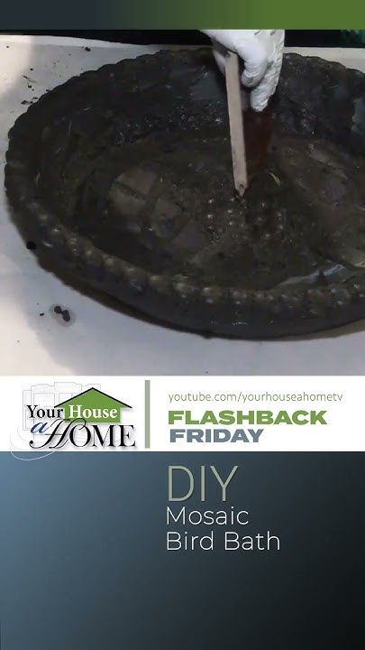 Flashback Friday - Mosaic Bird Bath DIY #shorts Bird Bath Diy, Mosaic Bird Bath, Bath Diy, Mosaic Birdbath, Diy Bird Bath, Mosaic Birds, Flashback Friday, Diy Shorts, Glass Projects