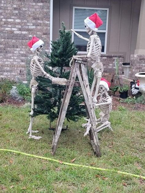 Skeleton In Tree Halloween, Halloween Skeleton Ideas Outdoor, Skeleton Shenanigans, Skelly Ideas, Skeleton Displays, Skeleton Decorations Outdoor, Skeleton Images, Skull Halloween Decor, Skeleton Poses