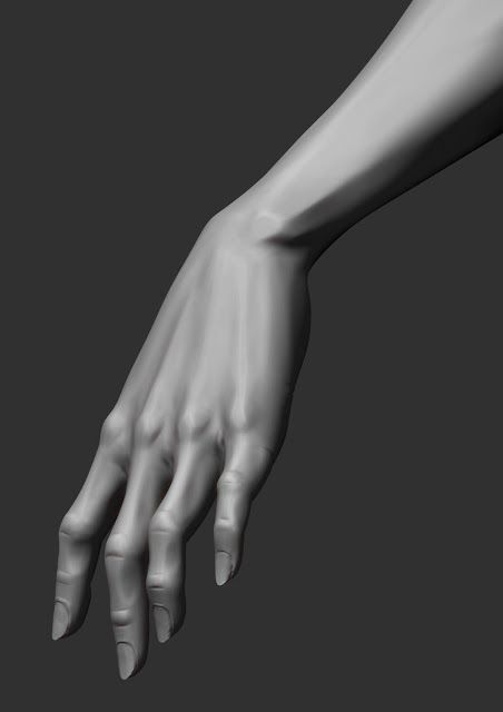 Hands Sculpting Zbrush, Zbrush Anatomy, Hand Anatomy, 3d Anatomy, 3d Karakter, Zbrush Character, Body Template, Anatomy Sculpture, Anatomy Models