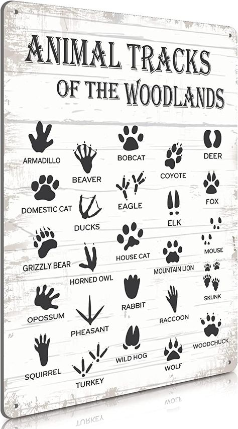 Hunting Bedroom, Woodland Bedroom, Farmhouse Cabin, Guide Sign, Country Wall Decor, Animal Tracks, Baby Boy Room Nursery, Inspire Me Home Decor, Boys Bathroom