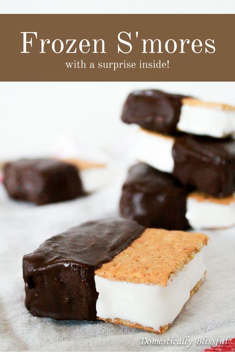 Smores Dessert Recipes, Frozen Smores, Domestically Blissful, Smores Dessert, Smore Recipes, Ice Cream Sandwiches, Summer Treats, Foodie Recipes, Best Dessert Recipes