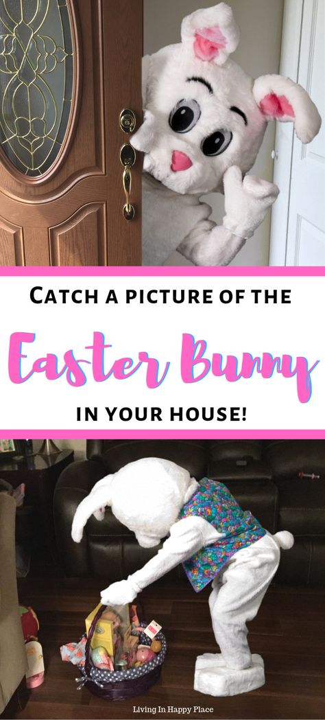 Easter Bunny Surprise Morning, Easter Bunny Surprises, Easter Bunny Came To The House, Easter Bunny Morning Ideas, Easter Bunny Was Here Ideas, Easter Bunny Arrival Ideas, Easter Bunny Pictures With Kids, Easter Bunny Traditions, Easter Bunny Visit Ideas