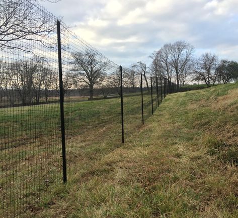 Deer Fence installed in rural Virginia by the Benner Deer Fence Company. Deer Fencing, Dog Enclosure, Welded Wire Fence, Gate Kit, Deer Fence, Privacy Fence Designs, Pet Fence, Fencing Material, Fencing Companies