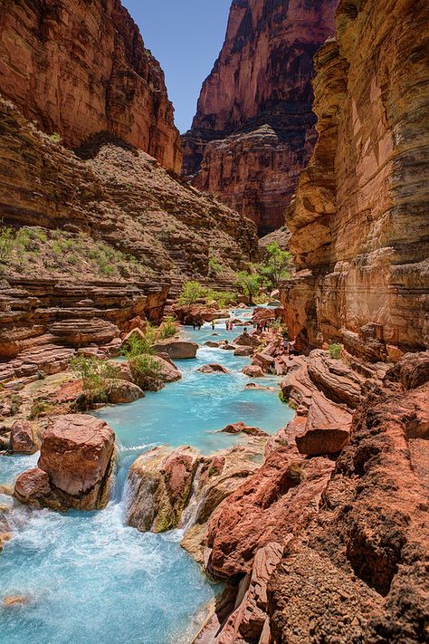 Hikers crossing Havasu Creek, Grand Canyon, Arizona, USA Grand Canyon Vacation, Trip To Grand Canyon, Havasu Falls, Grand Canyon Arizona, Arizona Travel, Grand Canyon National Park, 판타지 아트, Road Trip Usa, Travel Aesthetic