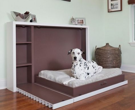 Murphy Dog Beds for Small Spaces Dog Stairs For Bed, Pallet Dog Beds, Bed Ikea, Bed Stairs, Murphy Bed Ikea, Murphy Bed Ideas, Beds For Small Spaces, Designer Dog Beds, Murphy Bed Plans