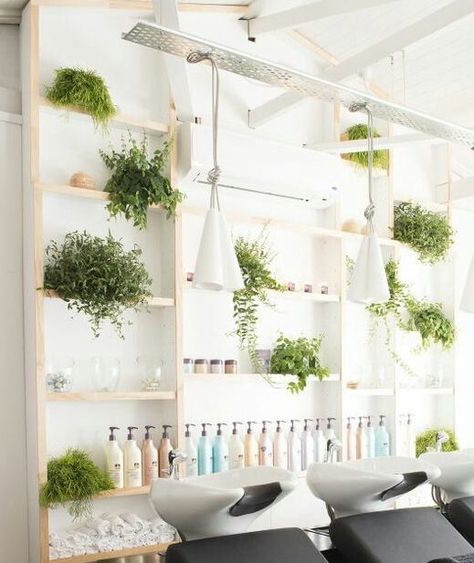 THE STYLING OF THIS SHELF IS AWESOME TOO - ROLLED FACECLOTHS IS A COOL IDEA! Sage Green Hair Salon Decor, Beauty Salon Decor Green, Salon Suite Decor Greenery, Hair Salon With Plants, Botanical Hair Salon Decor, Boho Hair Salon Decor, Dog Grooming Salon Decor, Home Beauty Salon, Dream Salon