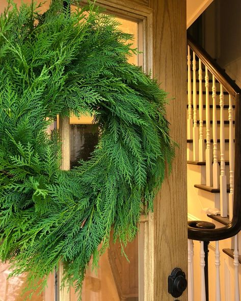 Fresh Cypress Christmas Wreath Cypress Wreath, 3 Wreaths, Leyland Cypress, Fresh Wreath, Farmhouse Front Door, Black Front Doors, Urban Farmhouse, Farmhouse Front, Velvet Bow