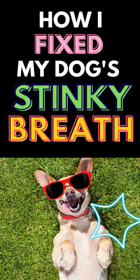 Dog Treats For Bad Breath, Fresh Breath Dog Treats, Dog Bad Breath Remedy, Dog Breath Remedy, Dog Bad Breath, Stinky Dog Breath, Skunk Smell, Dog Bad, Bad Dog Breath