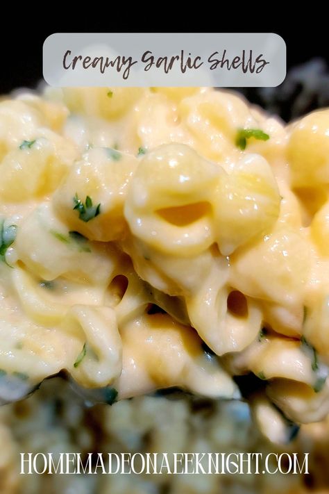 A smooth garlic cream sauce over shells is a perfect side dish for so many meals. #creamygarlicshells #garlicshells #pastasides #easysidedishes Creamy Shell Pasta, Garlic Shells Pasta, Roasted Garlic Cream Sauce Pasta, Creamy Garlic Pasta Allrecipes, Creamy Garlic Shells Pasta Sides, Garlic Herb Mac And Cheese, Garlic Cream Sauce Pasta, Alouette Garlic Herb Cheese Pasta, Shell Pasta Recipes