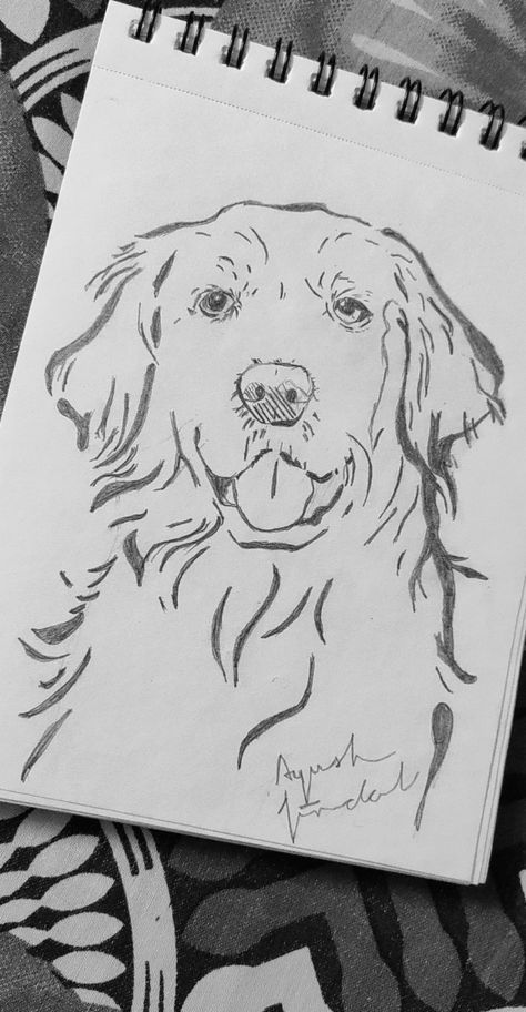 Dog
Dog sketch
Dog drawing
Golden retriever drawing Golden Retriever Pencil Drawing, Dog Drawing Golden Retriever Easy, Golden Retriever Sketch Pencil, Golden Retriever Drawing Tutorial, Golden Retriever Sketch Easy, Puppy Sketch Pencil Drawings, Easy Golden Retriever Drawing, Golden Retriever Painting Easy, How To Draw A Golden Retriever