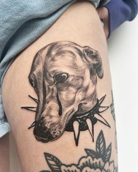 Italian greyhound 🩵 done at @opheliatatouage #tattoo #greyhoundtattoo #italiangreyhoundtattoo #iggytattoo Italian Greyhound Tattoo, Greyhound Tattoo, Italian Greyhound, Dog Tattoos, Greyhound, Tattoos, Quick Saves