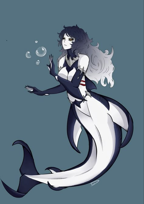 Orca Mermaid Art, Female Mermaid Art, Orca Characters Design, Orca Oc Human, Orca Humanoid, Orca Oc, Aquatic Oc, Orca Mermaid, Fantasy Giants