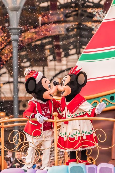 Disney Screensaver, Disneyland Images, Magic Kingdom Christmas, Disney Characters Pictures, Disney Parade, Disneyland Christmas, Disney World Christmas, Disney World Characters, Disney Face Characters