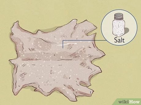 How to Tan a Hide: 2 Foolproof Methods Hide Tanning Diy, Best Way To Tan, Tanning Deer Hide, Hide Tanning, Cow Hyde, Diy Tanning, Tanning Hides, Raising Rabbits For Meat, Angora Bunny