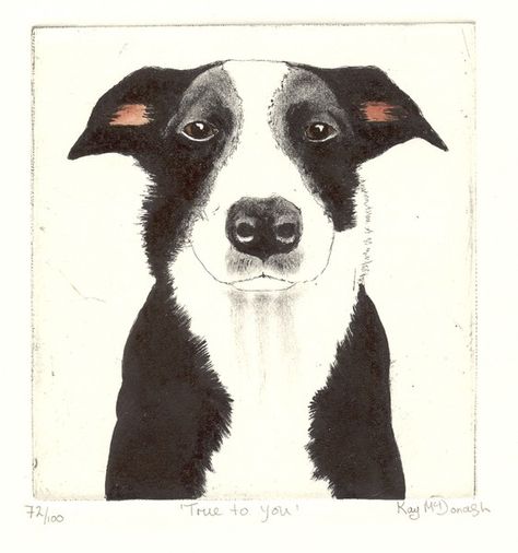 Kay Mcdonagh, Dog Etching, Colorful Dog Art, Edinburgh College, Dog Sketch, Bear Dog, Modern Dog, Cow Art, Artist Portfolio