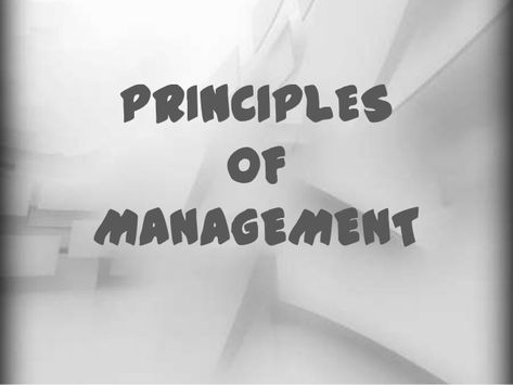 PRINCIPLES OF EFFECTIVE MANAGEMENT - Business and Life Accounting Career, Effective Management, A Group Of People, Like A Mom, Specific Goals, Wealth Creation, Group Of People, Life Tips, Work From Home Moms