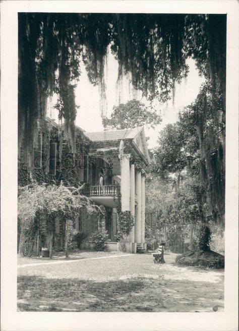 1938 Antebellum Greek Revival Mansion Auburn Natchez Mississippi Antebellum Mansions, Old Southern Plantations, Vintage Louisiana, Abandoned Plantations, Louisiana Plantations, Antebellum South, Southern Mansions, Sims Inspiration, Southern Architecture