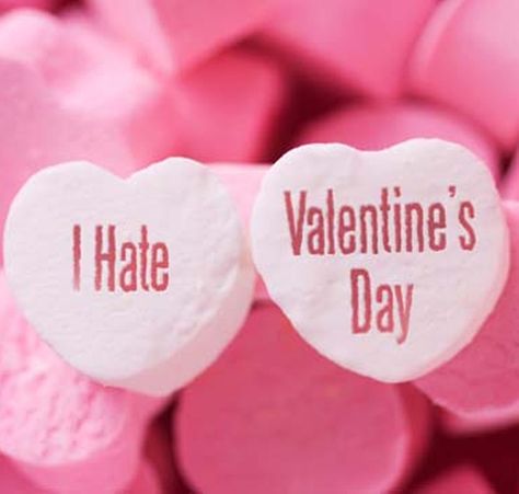 I Hate Valentine's Day, Hate Valentines Day, Singles Awareness Day, Valentines Day Memes, Teddy Day, Propose Day, Valentines Day Wishes, Valentines Day Funny, Anti Valentines Day