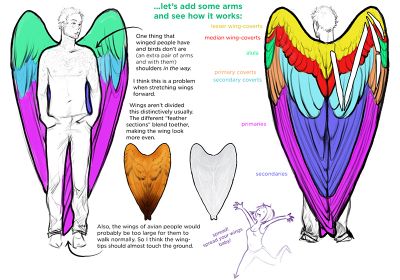 Drawing Tutorials Dump - Imgur Human Wings, Wings Tutorial, Winged People, Wings Drawing, Angel Drawing, Archangel Gabriel, Wings Art, Digital Painting Tutorials, The Human Body